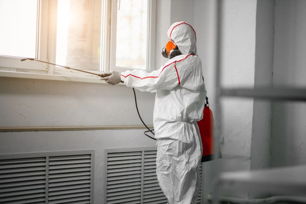 Professional mold remediation services in Washington, CT